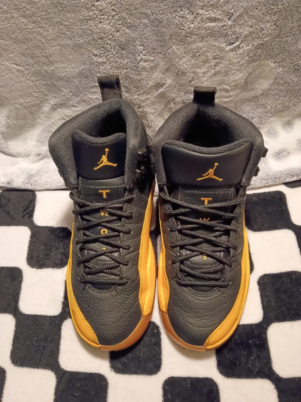 Air Jordan 12 Retro 